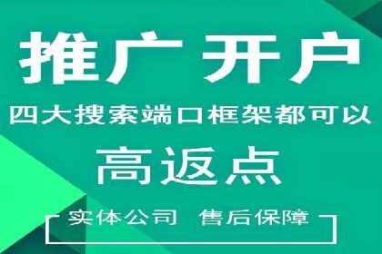 百度竞价广告运营的技巧与误区：成功案例解析